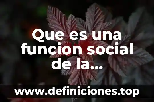 Que es una institucion relacionada con la comunicacion 3 Que es una funcion social de la educacion
