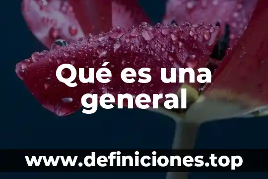 Qué es una institución en general 5 Qué es una general