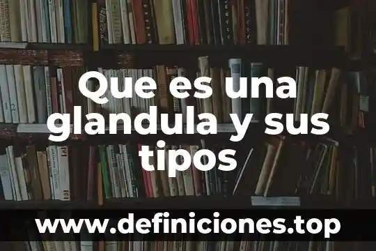 Cataloog de cienyas que es y tipos 3 Que es una glandula y sus tipos
