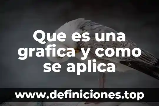 Que es equilibrio termico grafica 5 Que es una grafica y como se aplica