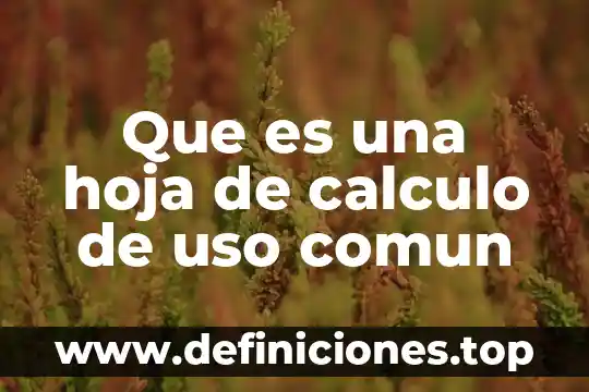 Que es una funcion segun calculo 6 Que es una hoja de calculo de uso comun