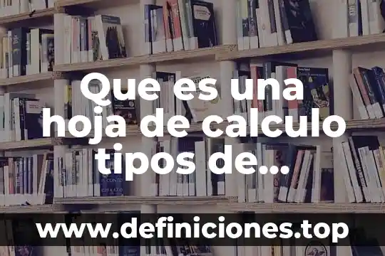 Que es una hoja de calculo tipos de funciones
