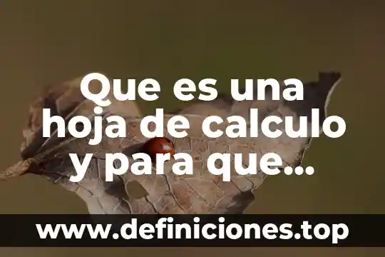 Que es y para que sirve la prueba de macrohematocrito 4 Que es una hoja de calculo y para que sierve