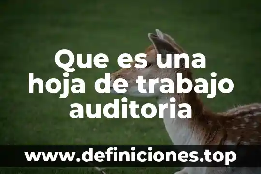 Que es la presentacion del informe en la auditoria administrativa 4 Que es una hoja de trabajo auditoria