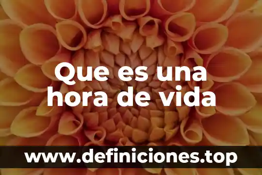 Que es lo que me motiva en la vida 6 Que es una hora de vida