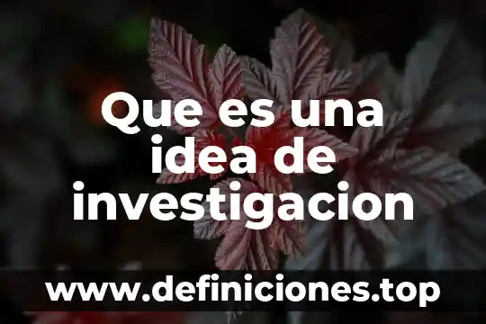 Que es una idea de investigacion