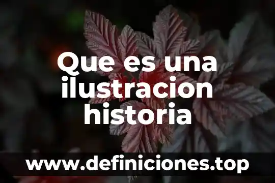 Que es calidad en ingenieria 4 Que es una ilustracion historia