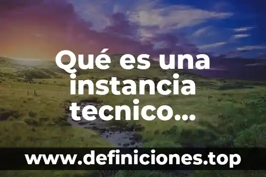 Qué es una instancia tecnico operativa