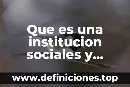 Que es un conducto de ley que organiza una institucion 8 Que es una institucion sociales y menciona ejemplo