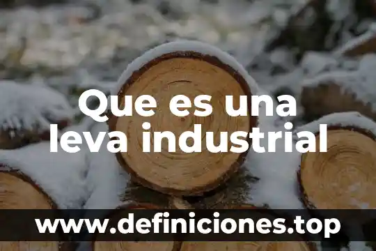 Que es una barrera industrial 8 Que es una leva industrial