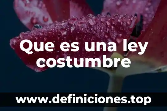 Que es una ley costumbre