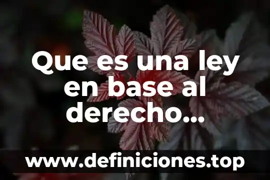 Que es visme y para que sirve 7 Que es una ley en base al derecho mexicano