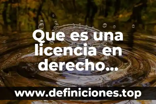 Que es una licencia en derecho bancario y bursatil