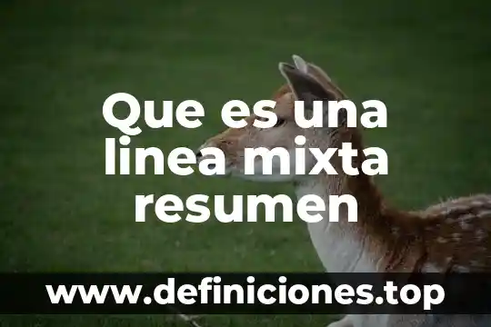 Que es una linea mixta resumen