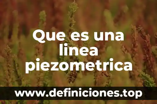 Visio en linea para que es 6 Que es una linea piezometrica