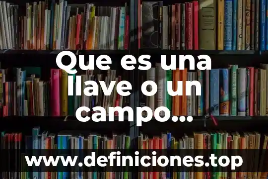 Que es una llave o un campo primario