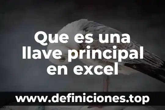 Que es una llave principal en excel