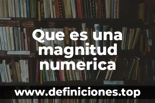 Que es una seccion numerica 3 Que es una magnitud numerica
