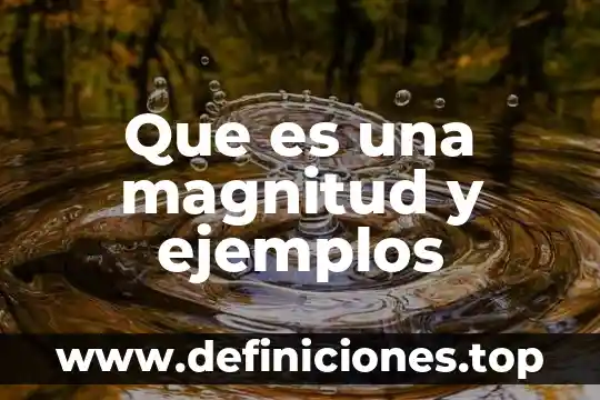 Que es una magnitud y ejemplos