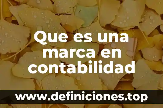 Que es emitidas en contabilidad 8 Que es una marca en contabilidad