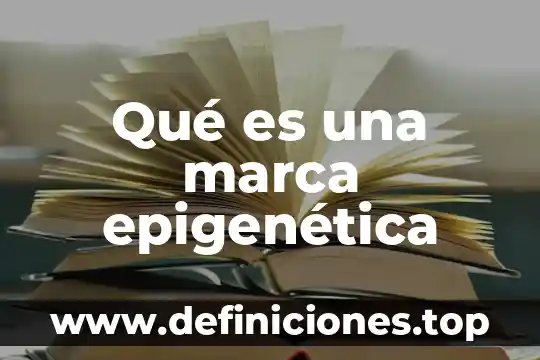 Que es marca y como elegir una marca 8 Qué es una marca epigenética