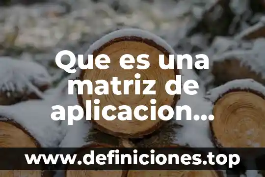 Que es una matriz de aplicacion concepto