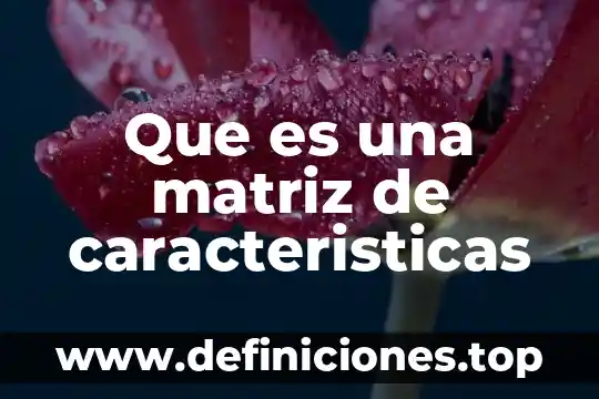 Que es el renacimiento español caracteristicas 4 Que es una matriz de caracteristicas