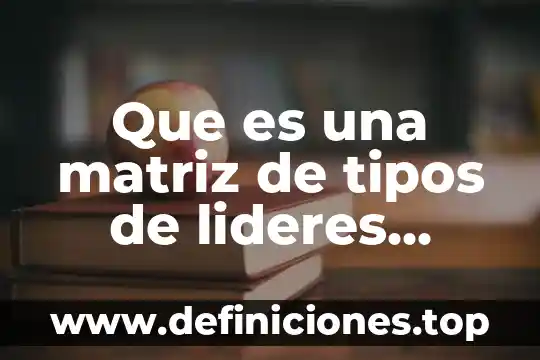 Que es una matriz de tipos de lideres ejempos