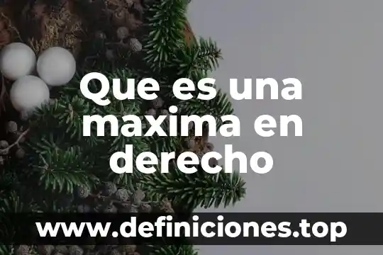 Que es carga maxima permisible 8 Que es una maxima en derecho
