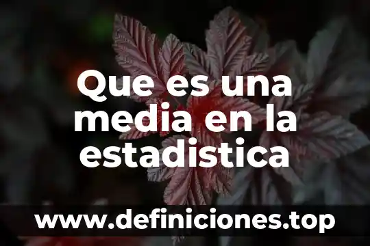 F1 que es en estadistica 3 Que es una media en la estadistica
