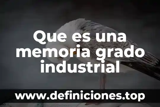 Qué es grado de libertad en estructuras 3 Que es una memoria grado industrial