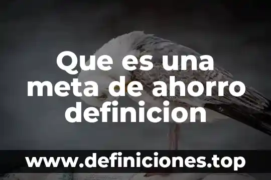 Que es una meta de ahorro definicion