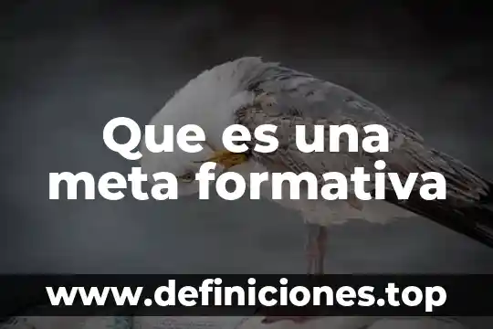 Que es la secuencia formativa 6 Que es una meta formativa