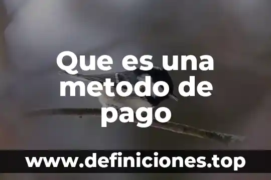 Que es un pago parcial 7 Que es una metodo de pago