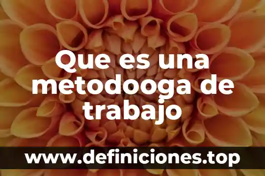 Que es una metodooga de trabajo