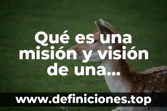 Qué es una misión y visión de una institución educativa