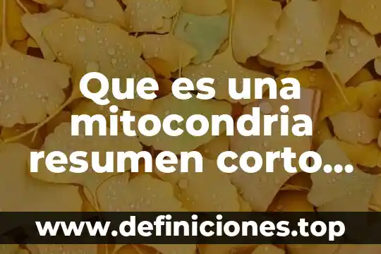 Que es el camu camu resumen 5 Que es una mitocondria resumen corto célula animal