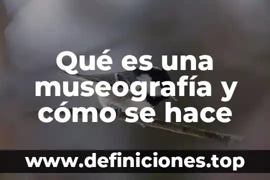 Que es lo que hace un gerente de un negocio 7 Qué es una museografía y cómo se hace
