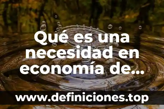 Qué es una necesidad en economía de México