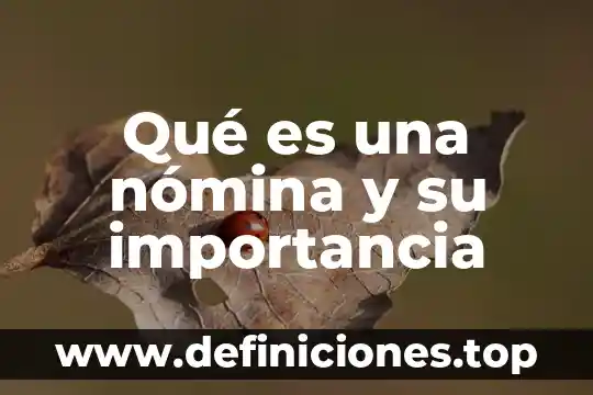 Qué es una nómina y su importancia