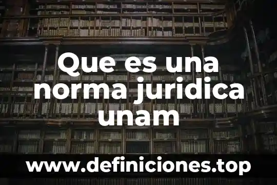 Que es la calidad juridica 4 Que es una norma juridica unam