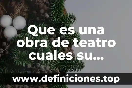 Que es una obra de teatro cuales su funcion
