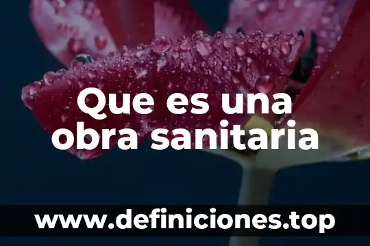 Que es un preparacion de obra 5 Que es una obra sanitaria