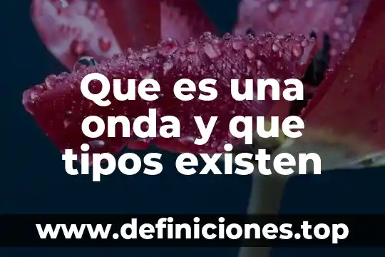 Que es tipo de servicio en escultura existen 8 Que es una onda y que tipos existen