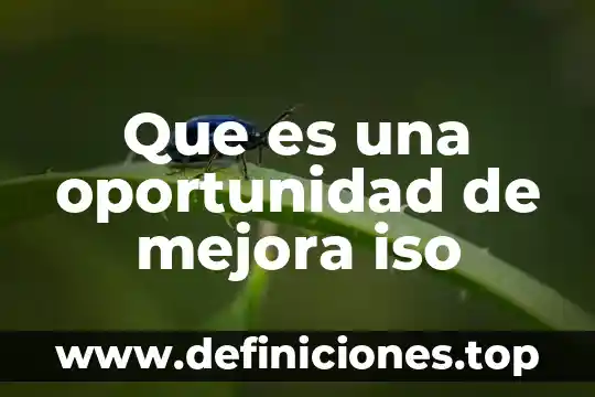 Que es una oportunidad de mejora iso