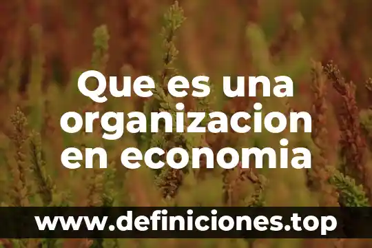 Que es una organizacion en economia