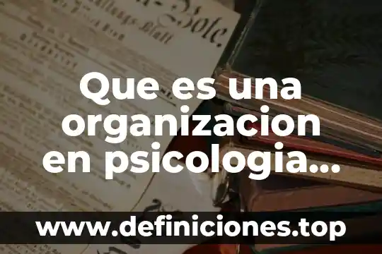 Que es una organizacion en psicologia institucional
