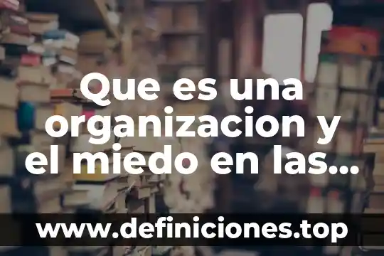 Que es una organizacion y el miedo en las organizaciones