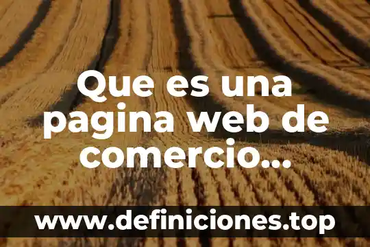 Que es una pagina web de comercio electronico