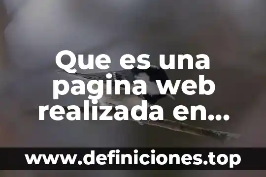 Editar texto en word que es 4 Que es una pagina web realizada en flash